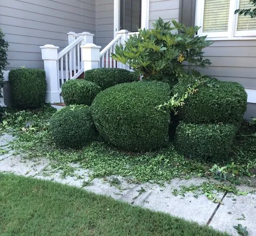 Fence installation Birmingham AL
